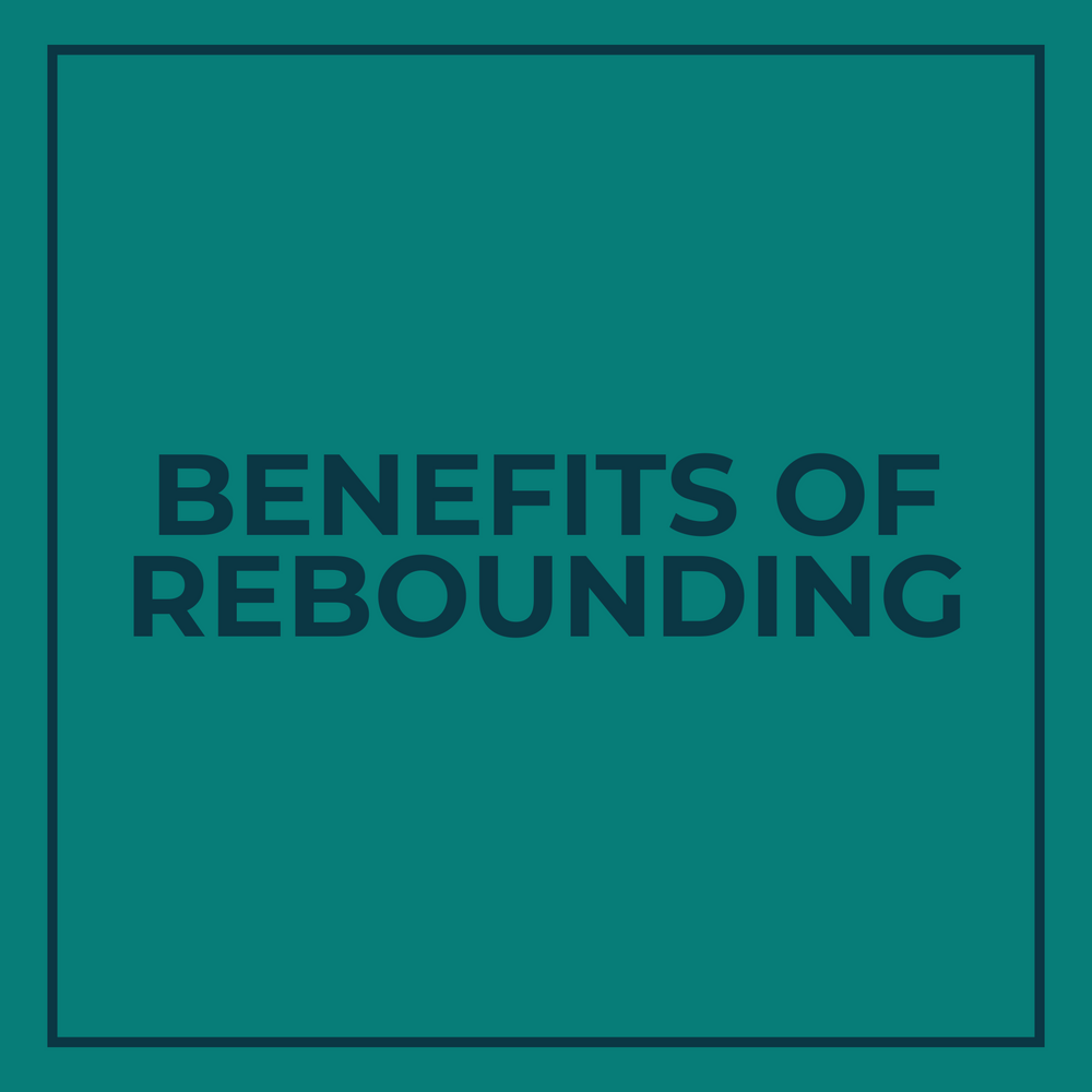 Revive Rebounding Studio | Fun, Effective, Low-Impact Fitness